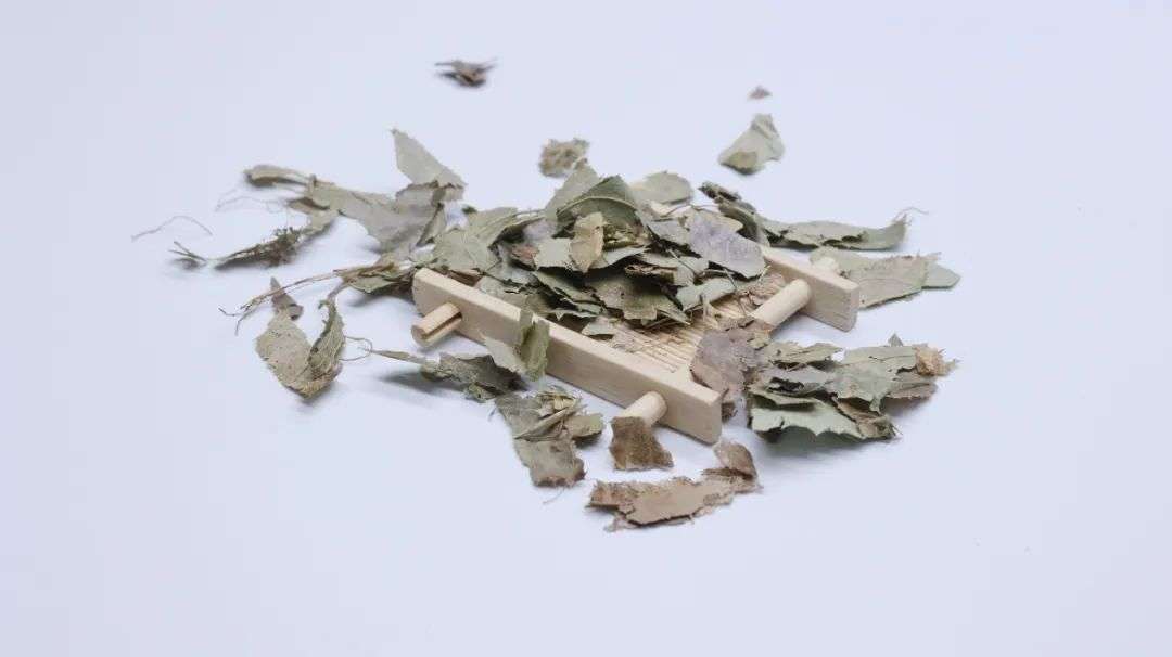 一味奇妙的中药，补肾壮阳、止咳嗽、治失眠，还能抗衰老、抗肿瘤