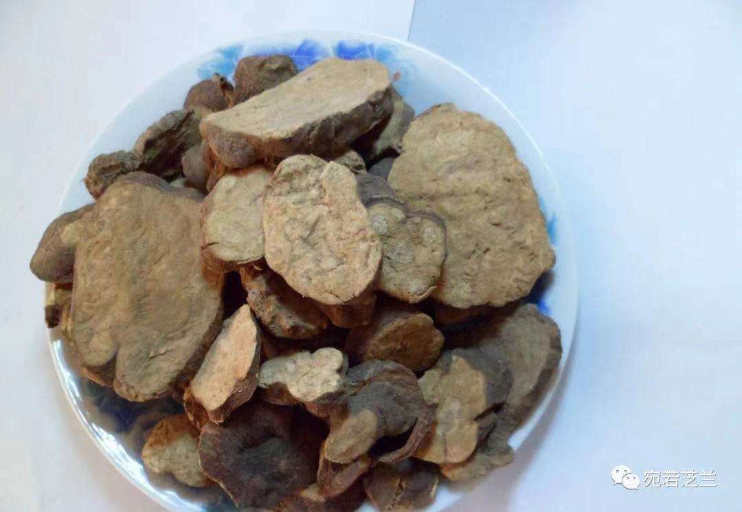 中药传说故事​——​何首乌的传说故事